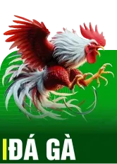 Đá gà 69win