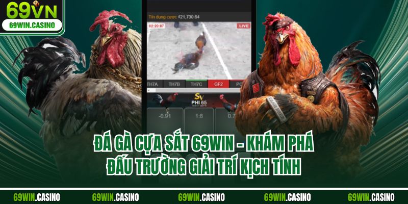 Đá Gà Cựa Sắt 69WIN – Khám Phá Đấu Trường Giải Trí Kịch Tính