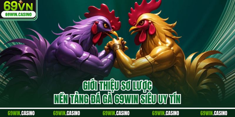 Giới thiệu sơ lược nền tảng đá gà 69WIN siêu uy tín