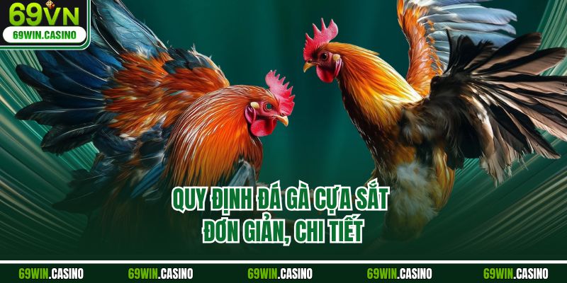 Quy định đá gà cựa sắt đơn giản, chi tiết