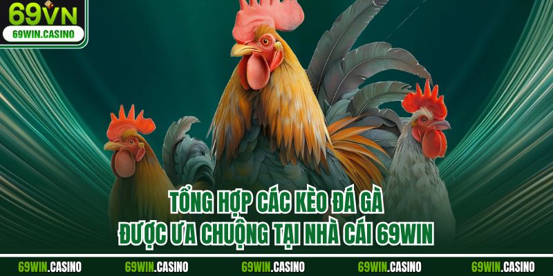 Tổng hợp các kèo đá gà được ưa chuộng tại nhà cái 69WIN