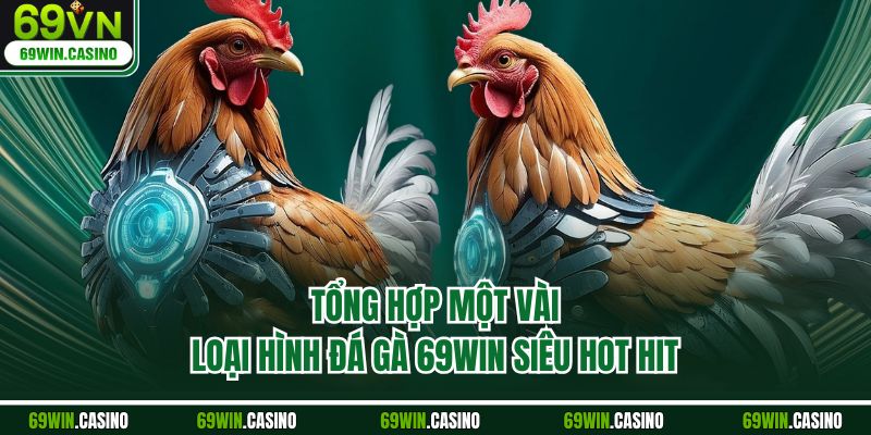 Tổng hợp một vài loại hình đá gà 69WIN siêu hot hit